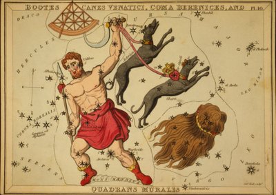 Bootes Canes Venatici و Coma Berenices و Quadrans Muralis ، رسم توضيحي من "مرآة يورانيا" بواسطة قاعة سيدني