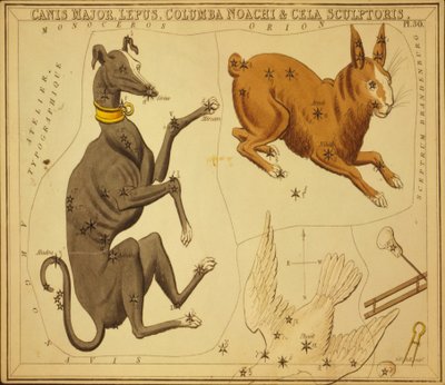 Canis Major، Rabbit، Columba Noah & Cela Sculptor ، رسم توضيحي من "مرآة Urania" بواسطة قاعة سيدني