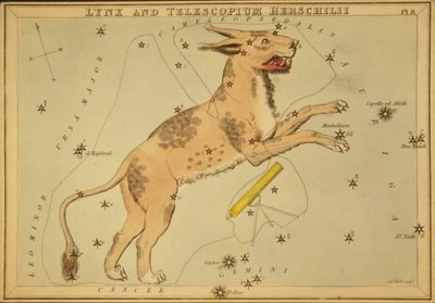 Lynx and Telescopium Herschilii ، رسم توضيحي من 'مرآة Urania' بواسطة قاعة سيدني