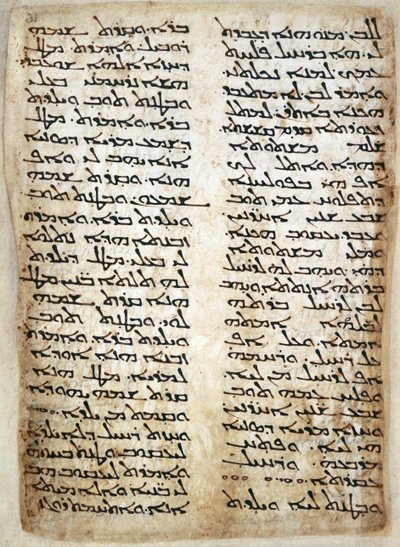 يضيف. 14425 ، ص 31 ، صفحة نصية من أسفار موسى الخمسة. (التكوين ، الخروج ، العدد ، التثنية) ، 464 (الرق) بواسطة سوري سوري