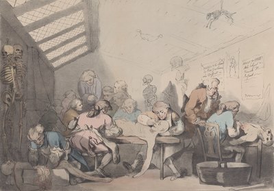 غرفة التشريح ، كاليفورنيا. 1838. بواسطة تي سي ويلسون