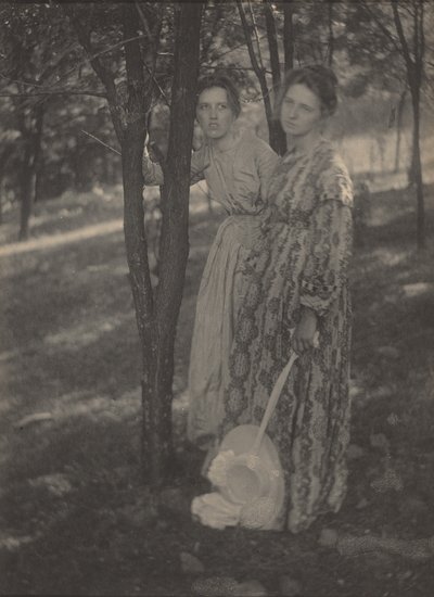 في الغابة، ج. 1899 (صورة) بواسطة تي إم إدميستون