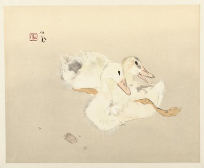 البط الصغير بواسطة تاكيوتشي سيهو