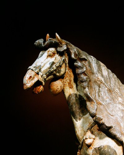 تفاصيل حصان ، أواخر القرن السابع - أوائل القرن الثامن (آنية فخارية عليها آثار من الأصباغ والمذهبة) بواسطة اسرة تانغ الصينية