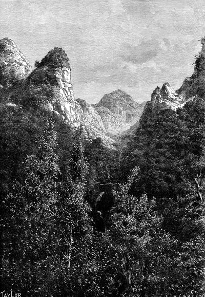 ماديرا ، البرتغال ، 1895. بواسطة تايلور
