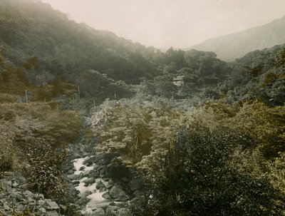 منظر لقرية ميانوشيتا في جبال هاكوني، حوالي عام 1900 - 1915 (صورة فوتوغرافية) بواسطة 