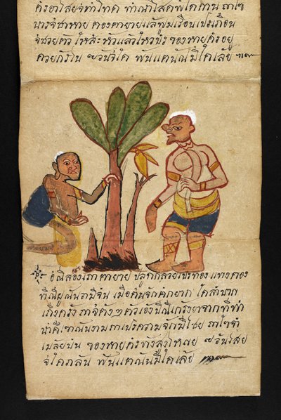أو. 16482، f.21 "ساترا"  عن العرافة والنصائح من أجل حياة سعيدة وصحية (كتاب طي الورق) بواسطة المدرسة التايلاندية