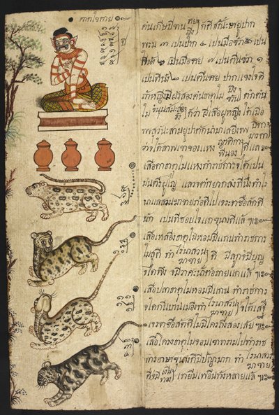 أو 4830 "دليل العرافة التايلاندي (Phrommachat) ، الذي يحتوي على الأبراج على أساس الأبراج الصينية" (الحبر واللون على الورق) بواسطة المدرسة التايلاندية