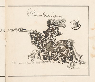 كتاب عن البطولات: Jouster Facing Left بواسطة ثيوبالد سينفيلدر