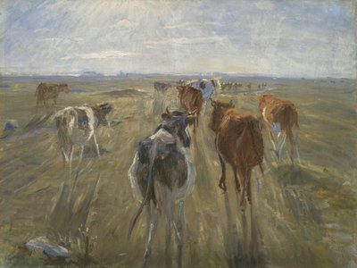 الظلال الطويلة. الماشية في جزيرة سالتولم ، ج. 1890 بواسطة تيودور فيليبسن