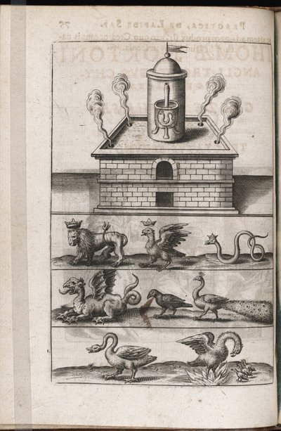 فرن كيمياء وحيوانات رمزية في الكيمياء - نقش بقلم تيودور دي بري (1528-1598) ، لأطروحة الكيمياء "Tripus avreus، hoc est، Tres tractatus chymici selectissimi" "بقلم مايكل ماير (1569-1622) بواسطة ثيودور دي بري