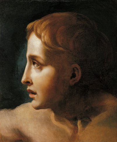 رأس الشباب بواسطة Theodore Gericault