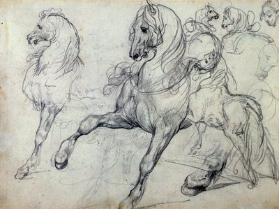 خيل بواسطة ثيودور جيريكولت