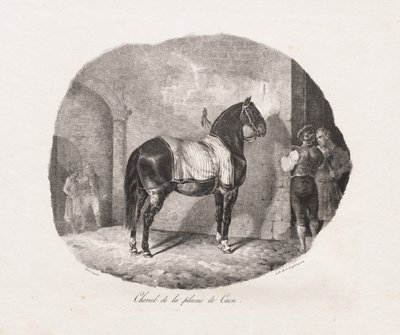 الدراسات الحجرية للخيول: Pl. 7 ، حصان من سهل كاين ، 1822. بواسطة ثيودور جيريكولت