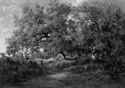 المناظر الطبيعية ، ج. 1860. بواسطة ثيودور روسو