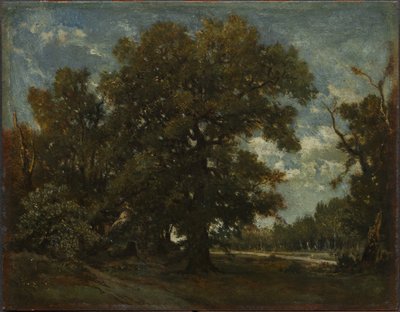 شجرة البلوط بواسطة Theodore Rousseau