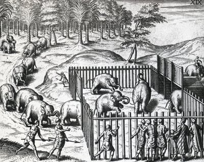 صيد الأفيال في مملكة بيغو ، ميانمار الآن ، بواسطة ثيودور دي بري (1528-1598) ، نقش بواسطة تيودور دي بري