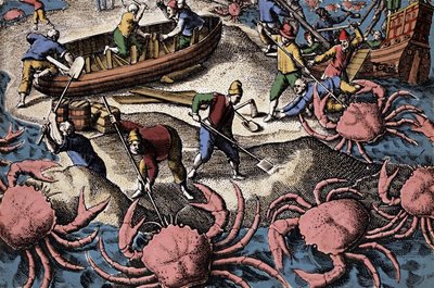 الملاحون الأوروبيون يقاتلون سرطان البحر الكبير. نقش من "Petities voyages aux Indes Orientales" لثيودور دي بري بواسطة تيودور دي بري