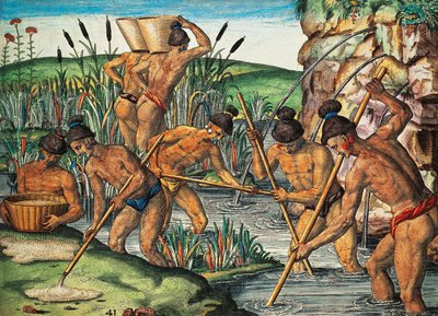 حفار الذهب في فلوريدا ، نقش ملون لثيودور دي بري (1528-1598) من لوحة لجاك لو موين دي مورغ (حوالي 1533 قبل 1588) ، من بريفيس ناراتيو بواسطة تيودور دي بري