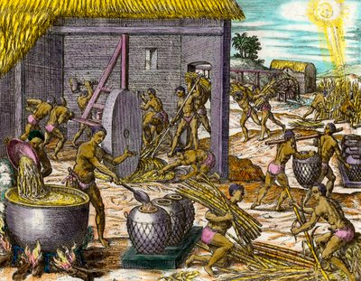 تاريخ أمريكا: جمع قصب السكر وصنع السكر. نقش لثيودور دي بري (1528-1598) مجموعة خاصة من القرن السادس عشر بواسطة تيودور دي بري