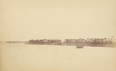 ضفاف النيل مع أشجار النخيل والقوارب بواسطة Théodule Devéria