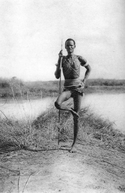 موقف الدينكا المميز ، تراككا لأويل ، السودان ، 1925 1927 بواسطة توماس أ. جلوفر