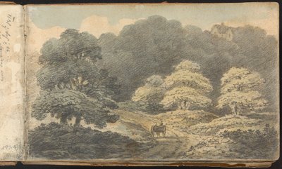 ألبوم دراسات المناظر الطبيعية والشكل: مشهد المناظر الطبيعية مع حصان وعربة بالقرب من Tunbridge Wells بواسطة توماس برادشو