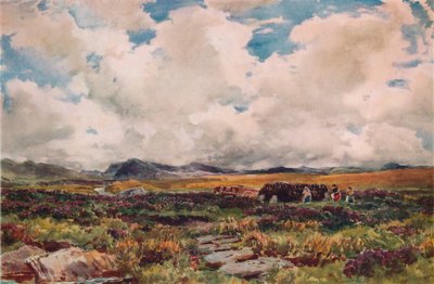 التراص الخث ، Festiniog ، شمال ويلز ، 1881 بواسطة توماس كولير