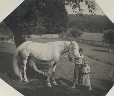 حصان توماس إيكنز بيلي واثنين من أطفال كروويل في أفونديل ، بنسلفانيا ، كاليفورنيا. 1892. بواسطة توماس إيكنز