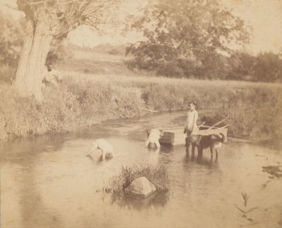 [ثلاثة أطفال وكلب يلعبان في الخور ، 4 يوليو 1883] ، 1883 ، 1883. بواسطة توماس إيكنز