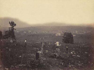 شركة Waymart، Del. & Hudson Canal Co.، c. 1863-1865. بواسطة توماس إتش جونسون