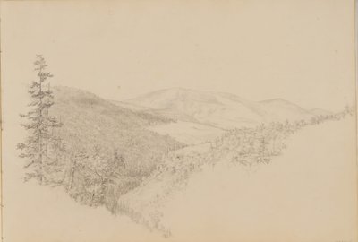 كاوترسكيل القرنفل من كراسة رسم المناظر الطبيعية وموضوعات الحيوانات ، كاليفورنيا. 1860 - 64. بواسطة توماس هيوز هينكلي