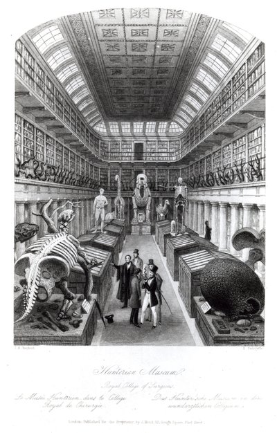متحف Hunterian ، رسم توضيحي لـ "لندن الداخلية" ، منقوش من قبل إدوارد رادكليف ، 1840 بواسطة توماس هوسمر شيبرد