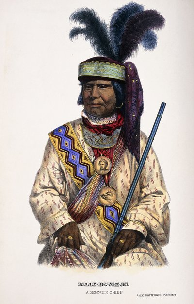 بيلي بوولجز ، رئيس سيمينول ، 1899 بواسطة توماس لورين ماكيني