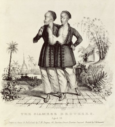 الإخوان السياميون ، البالغون من العمر 18 عامًا ، طبعه تشارلز هولمانديل (1789-1850) ، عام 1829 بواسطة توماس مان باينز