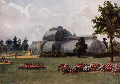 Kew Gardens: The Palm House (colour litho) بواسطة توماس ماور مارتن