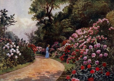 Kew Gardens: The Rhododendron Walk (colour litho) بواسطة توماس ماور مارتن
