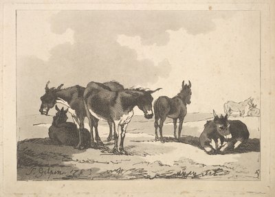 مجموعة من خمسة حمير ، ثلاثة واقفين ، اثنان كذبان ، 1783-87. بواسطة توماس رولاندسون