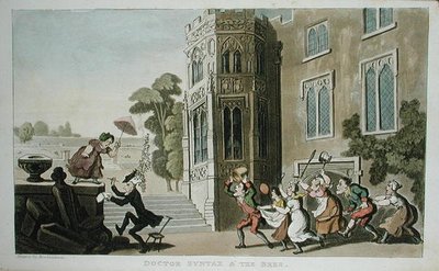 دكتور Syntax and the Bees ، من 'The Tour of Dr Syntax in search of the Picturesque' ، بقلم ويليام كومب ، نُشر عام 1812 (aquatint) بواسطة توماس رولاندسون