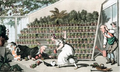 سوء الحظ في قاعة توليب ، c1816 بواسطة توماس رولاندسون