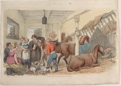 اللوحة 36 ، من العالم المصغر ، 1816 ، 1816. بواسطة توماس رولاندسون