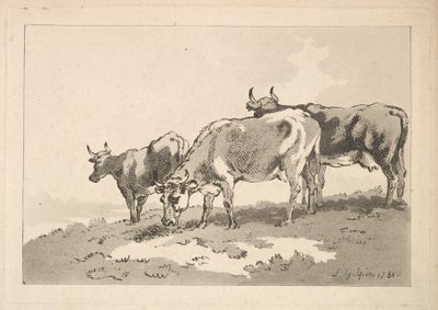 ثلاثة أبقار واقفة على حافة حقل ، 1784-87. بواسطة توماس رولاندسون