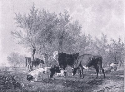 منظر طبيعي مع الماشية ، من مجلة الفن 1893 ، كاسيل وشركاه بواسطة توماس سيدني كوبر