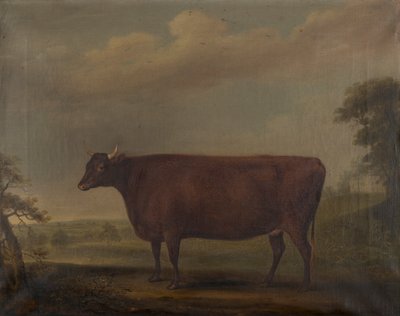 عجول ديفون الحمراء في المناظر الطبيعية ، حوالي 1812 (زيت على قماش) بواسطة توماس ويفر