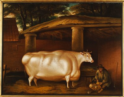 The White Heifer الذي سافر ، مع تقطيع رجل لفتة في ساحة مستقرة ، 1811 بواسطة توماس ويفر