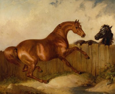 Stallion and Mare (oil on canvas) بواسطة توماس وودوارد