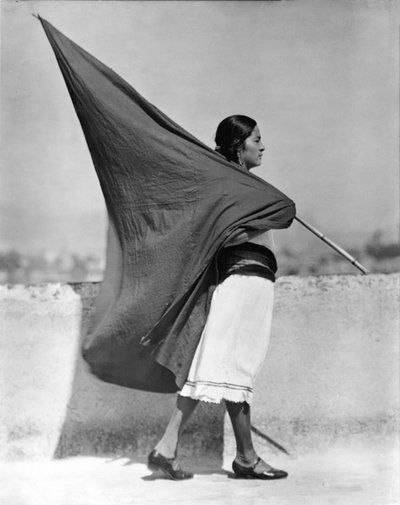 امرأة مع العلم ، مكسيكو سيتي ، 1928 بواسطة Tina Modotti