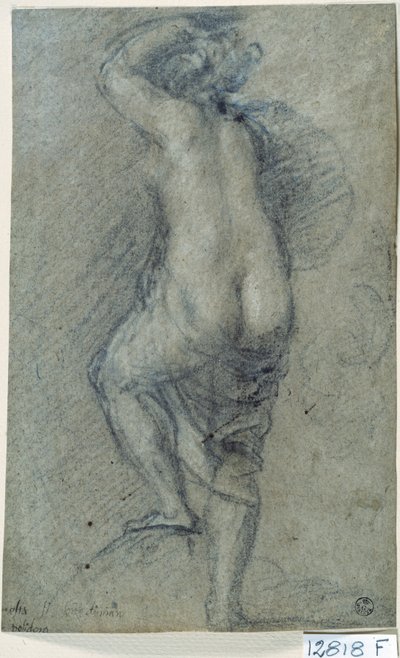 امرأة عارية (طباشير على ورق) بواسطة Titian (c.1488-1576)