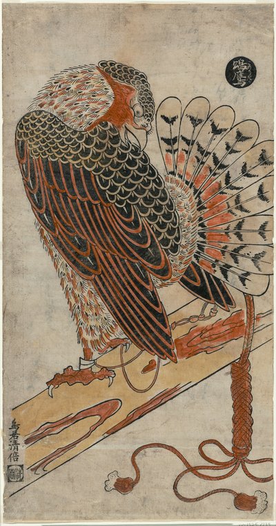 الباشق (كونوري تاكا) بواسطة Torii Kiyomasu I