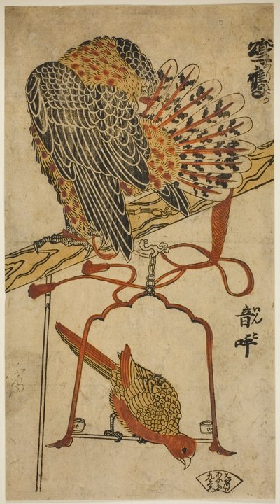 الباشق والببغاء (الباشق والببغاء) بواسطة Torii Kiyomasu I